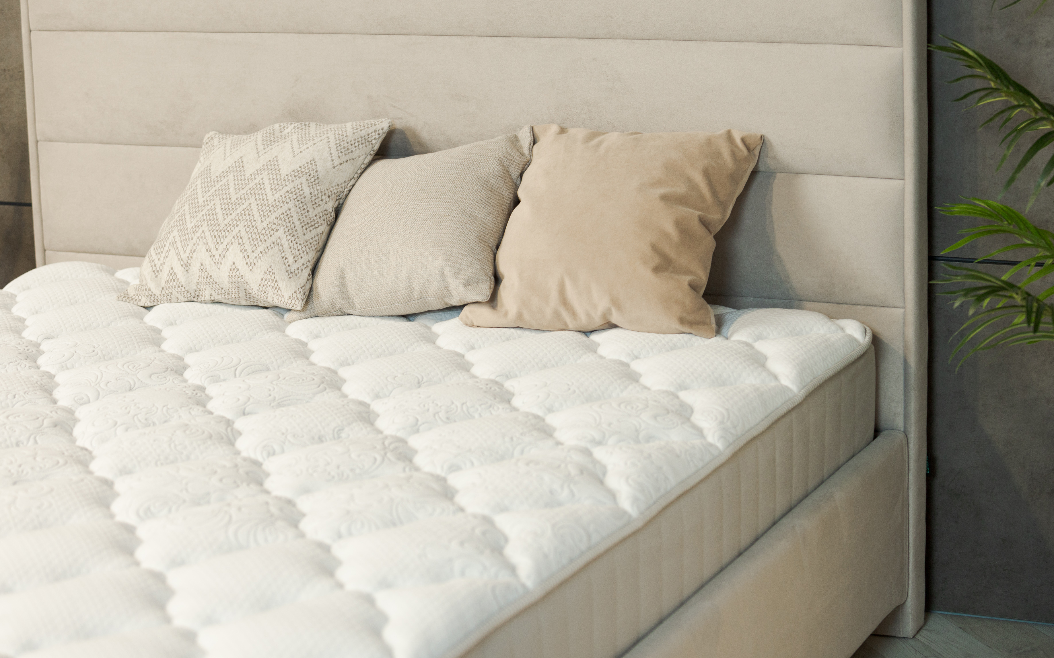 Sontery by Askona INFINITY Perfection фото 3